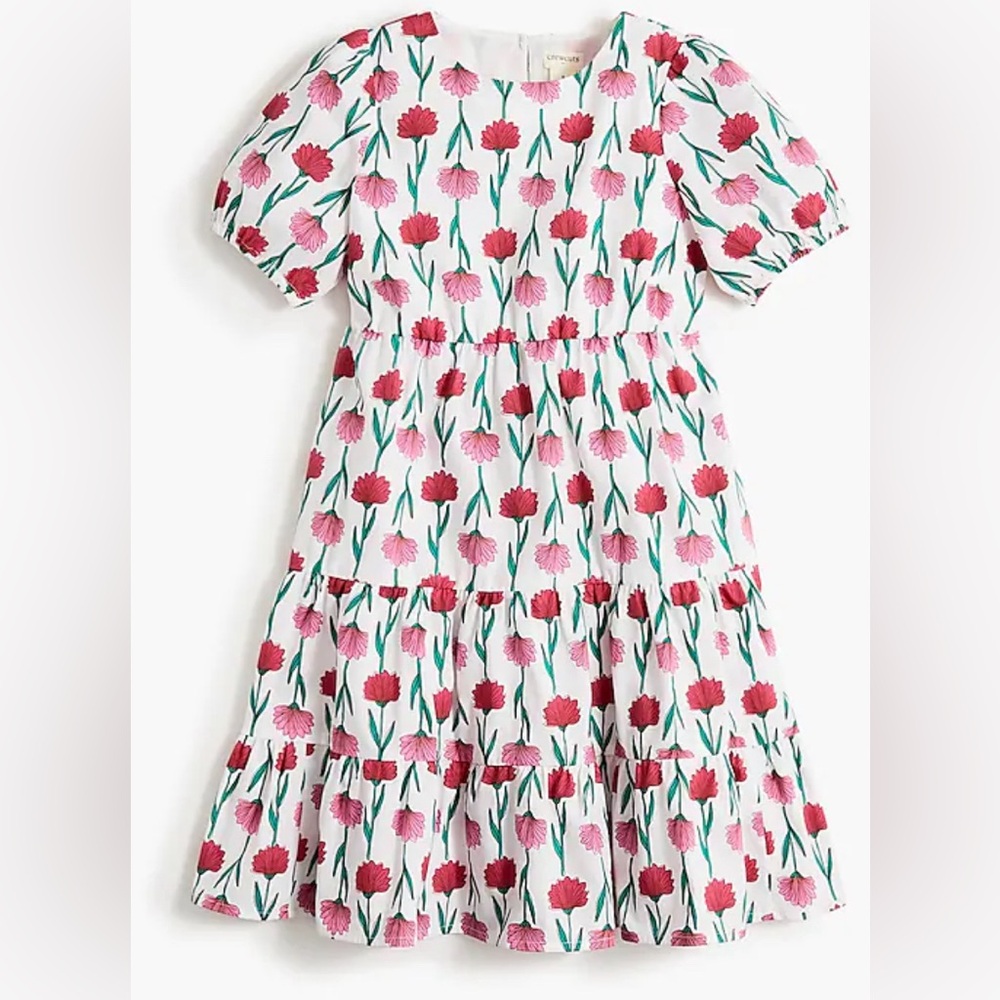 Jcrew Girls' poplin dress